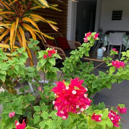 Le Tropical Appartement 1 Ou 2 Chambres Les Anses-d'Arlets Kültér fotó